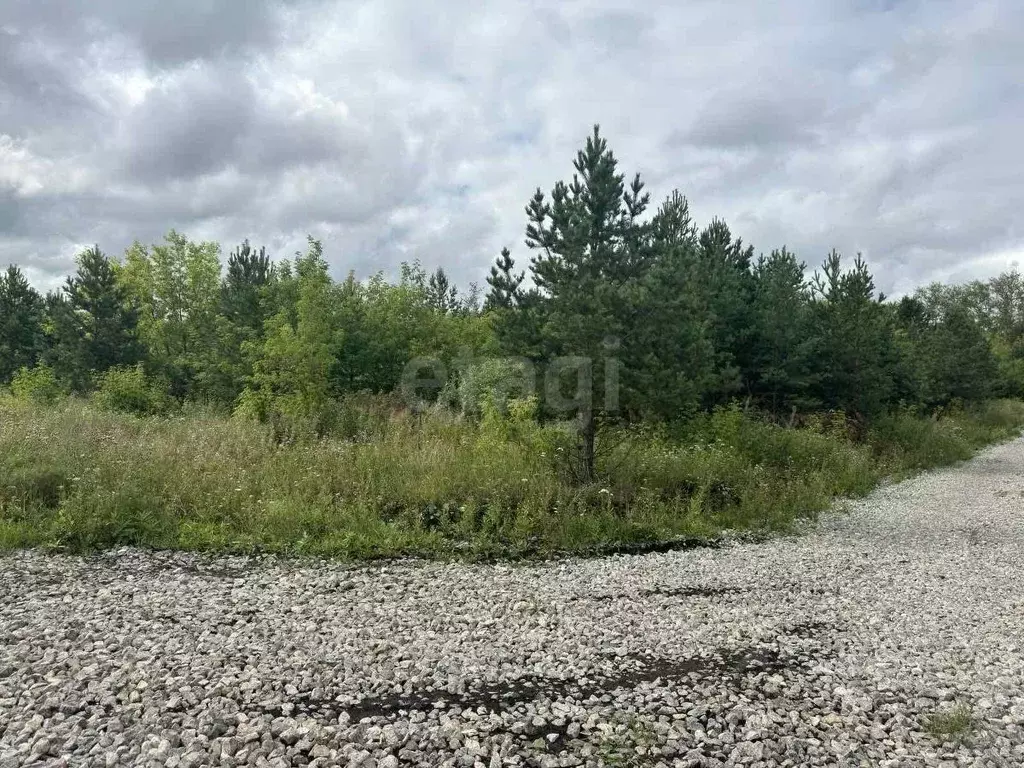 Участок в Свердловская область, Талица  (12.3 сот.) - Фото 0