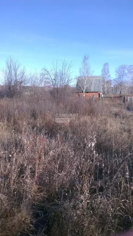 Участок в Челябинская область, Красноармейский район, с. Миасское  ... - Фото 0