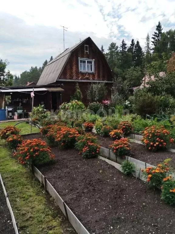 Дом в Нижний Тагил, Торфяная улица (64 м) - Фото 2