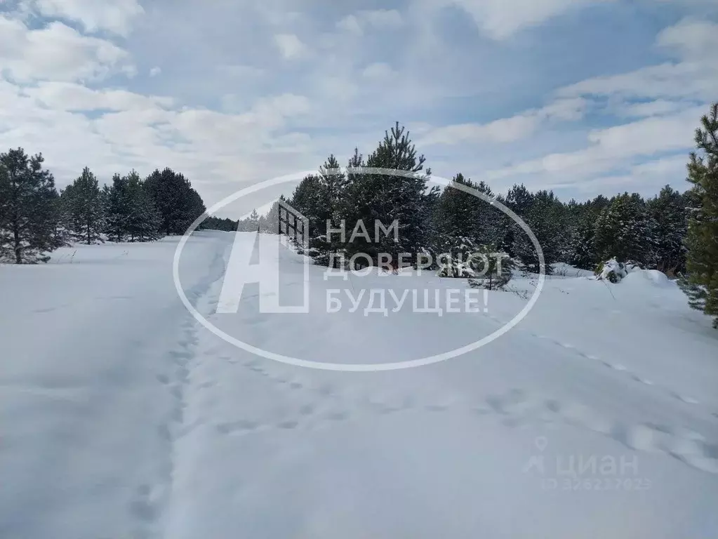 Участок в Удмуртия, Сарапульский район, д. Усть-Сарапулка ул. ... - Фото 1