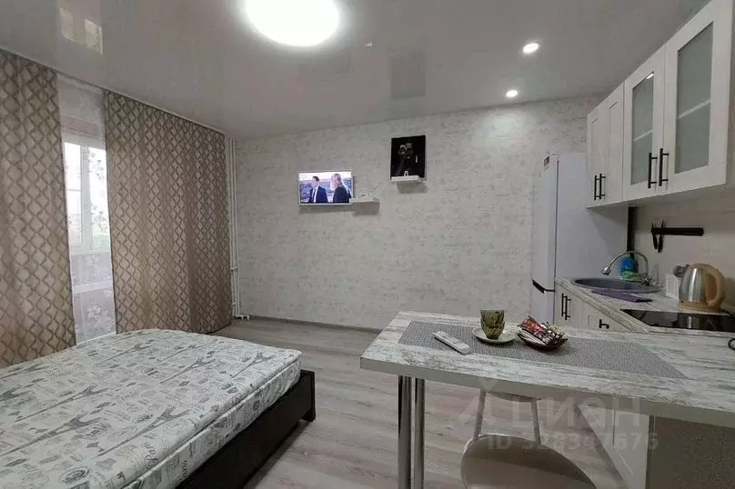 1-к кв. Ленинградская область, Кингисепп Крикковское ш., 20 (30.0 м) - Фото 2