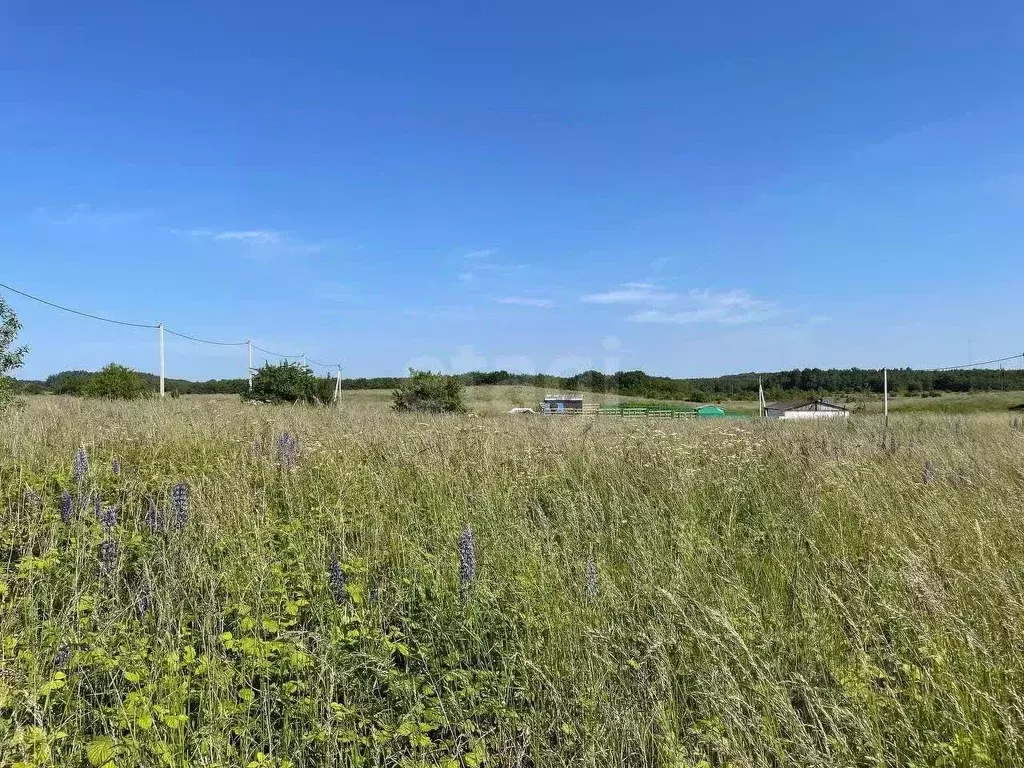 Участок в Калининградская область, Зеленоградский муниципальный округ, ... - Фото 2