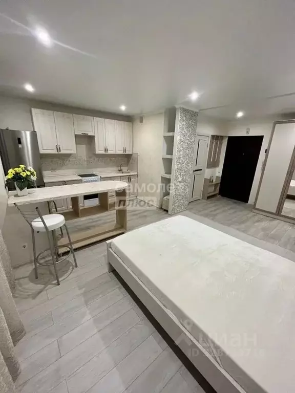 Студия Рязанская область, Рязанский муниципальный округ, с. Дядьково ... - Фото 2