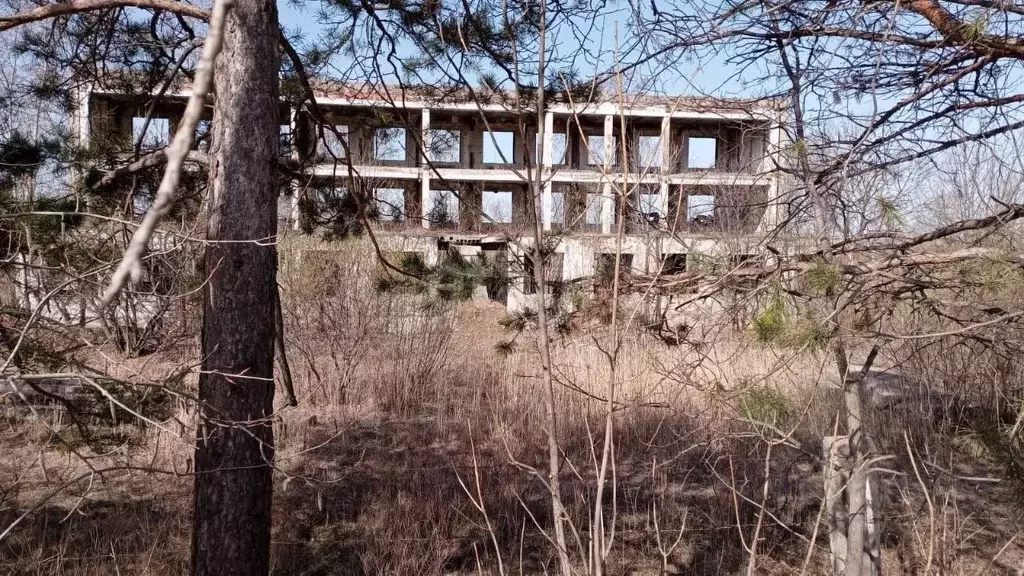 Помещение свободного назначения в Хабаровский край, Хабаровск ... - Фото 0