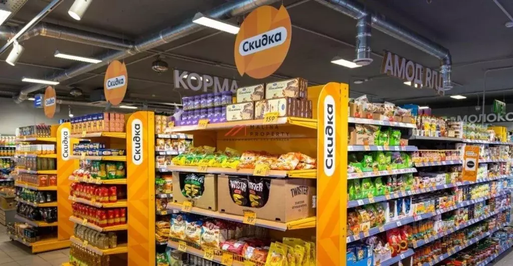 Торговая площадь в Московская область, Чехов муниципальный округ, д. ... - Фото 2