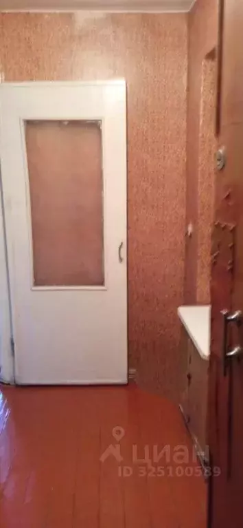 1-к кв. Новосибирская область, Новосибирск ул. Чехова, 142 (32.0 м) - Фото 2