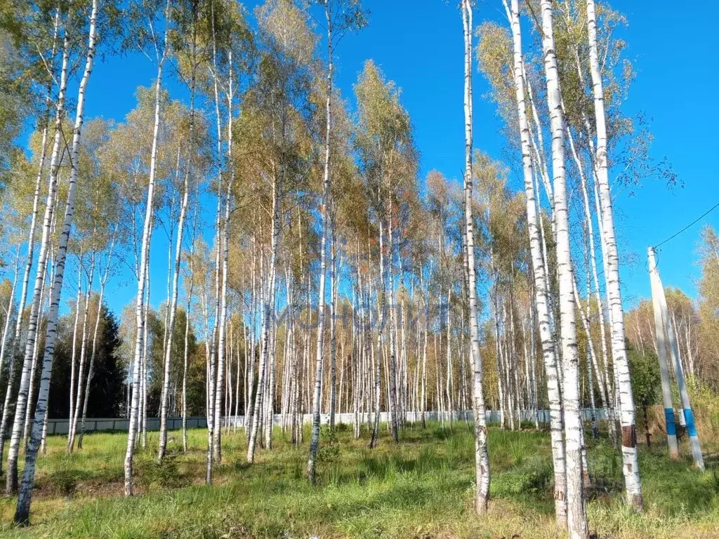 Участок в Москва № 339 кв-л,  (8.0 сот.) - Фото 2