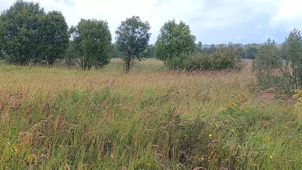 Участок в Московская область, Наро-Фоминский городской округ, д. ... - Фото 0