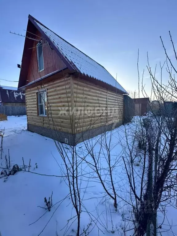 Дом в Новосибирская область, Коченевский район, Чик рп  (40 м) - Фото 1