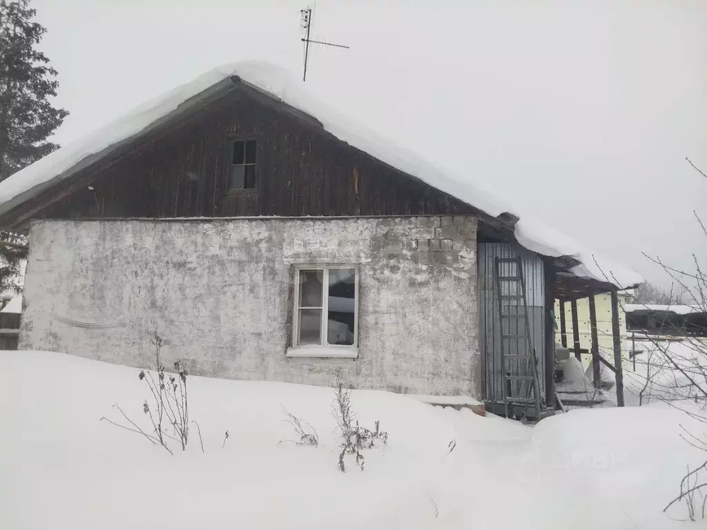 Дом в Свердловская область, Нижний Тагил ул. Гайдара, 115 (46 м) - Фото 1