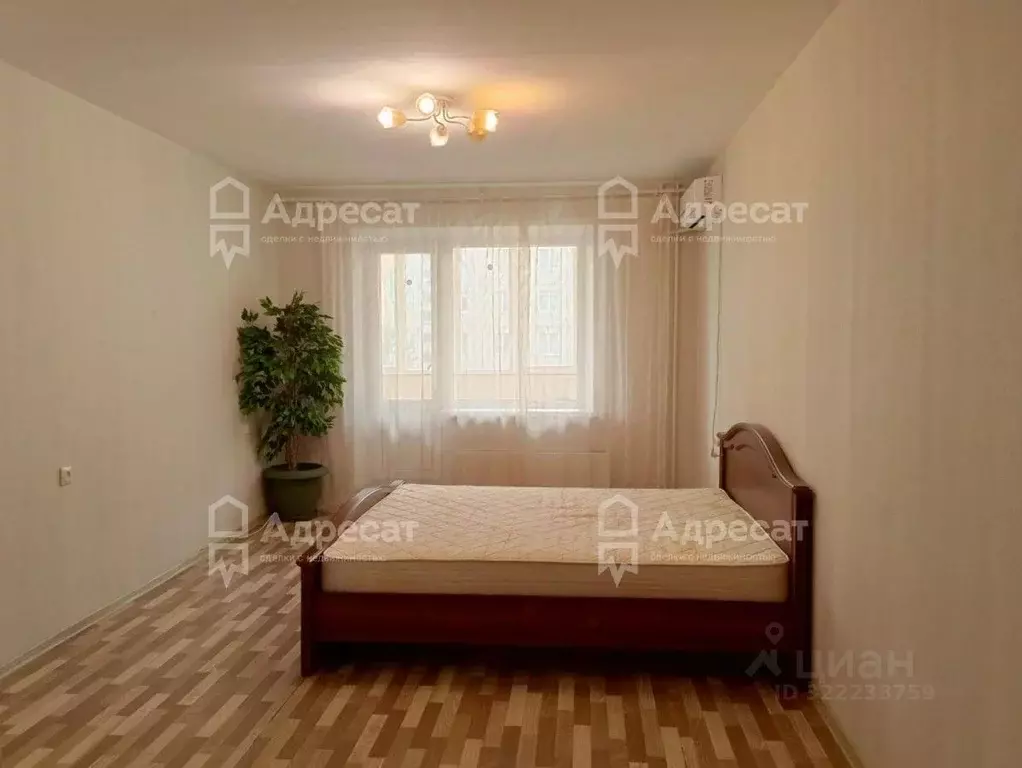 1-к кв. Волгоградская область, Волгоград ул. Таращанцев, 64а (36.9 м) - Фото 1