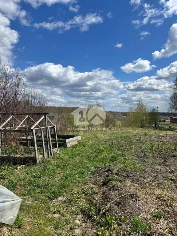 Участок в Новосибирская область, Новосибирский район, Станционный ... - Фото 2