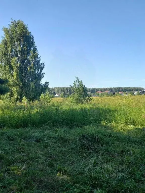 Участок в Свердловская область, Белоярский муниципальный округ, ... - Фото 0