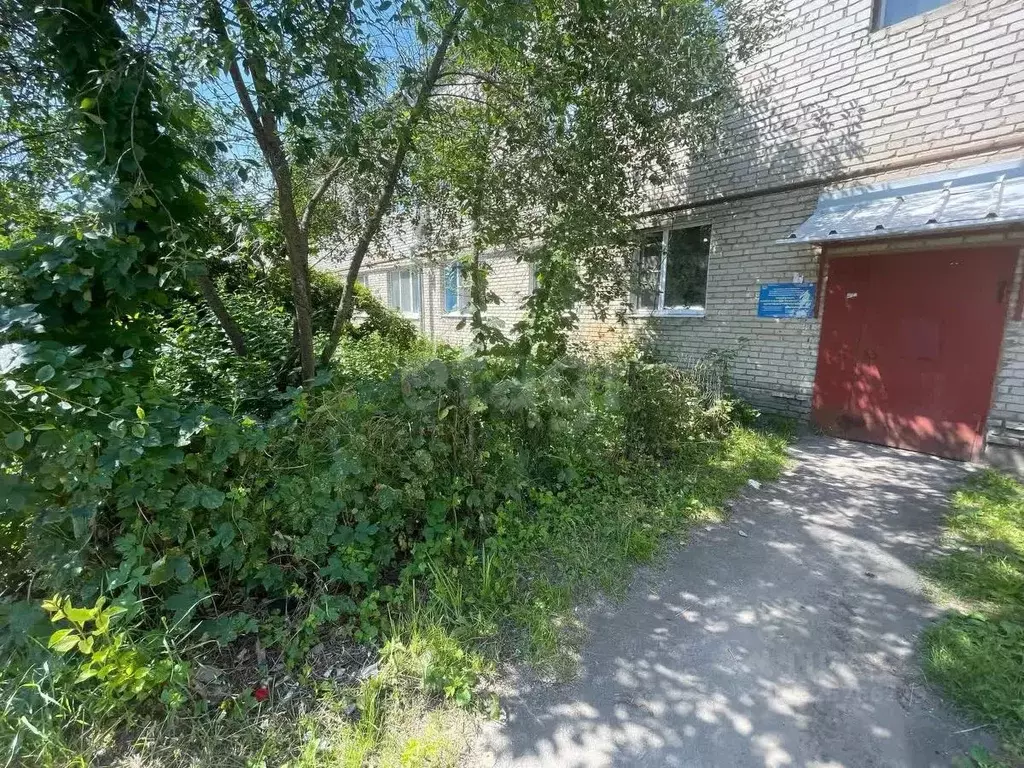 2-к кв. Владимирская область, Петушки Лесная ул., 18 (40.6 м) - Фото 1