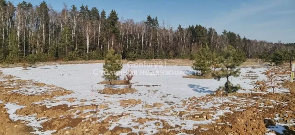 Участок в Московская область, Ступино городской округ, с. Семеновское ... - Фото 0