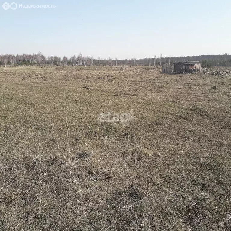 Участок в Тюменский район, СПК Приозёрное, Солнечная улица (6.13 м) - Фото 1