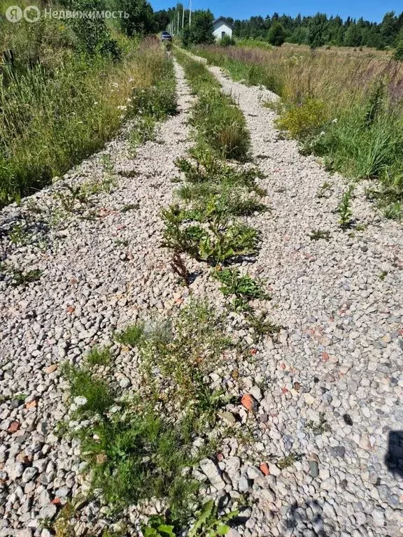 Участок в Сергиево-Посадский городской округ, деревня Васьково (1 м) - Фото 2