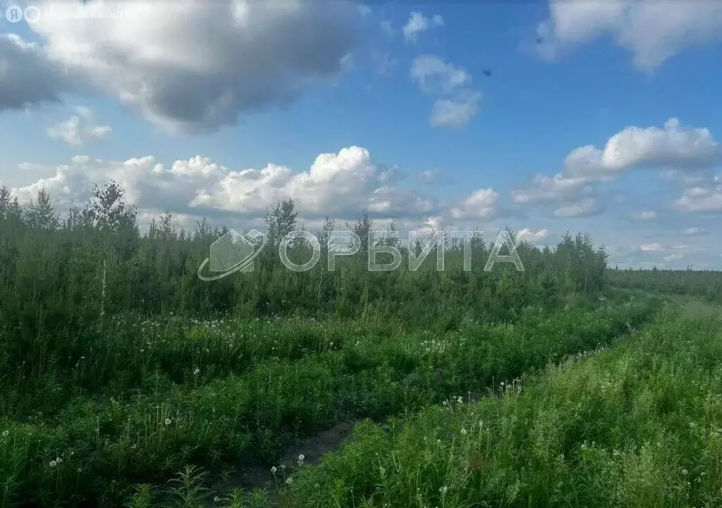 Участок в Тюменский район, село Успенка (12.5 м) - Фото 1