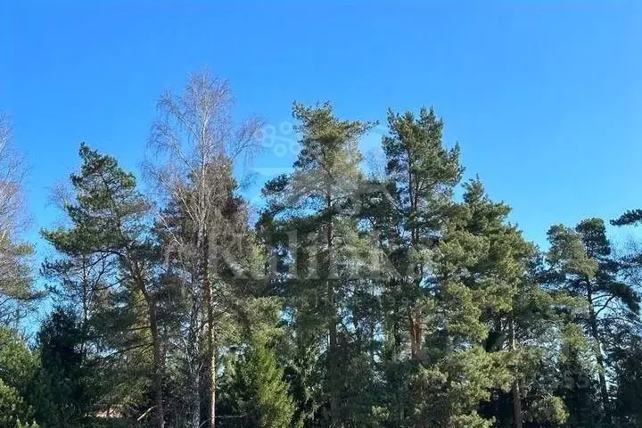 Участок в Московская область, Красногорск городской округ, д. ... - Фото 1