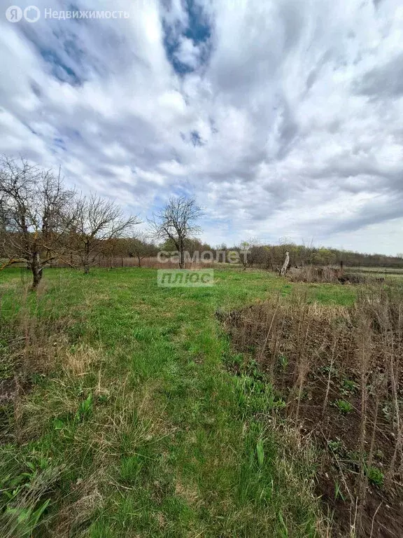 Участок в село Панино, Садовая улица, 36 (37 м) - Фото 2