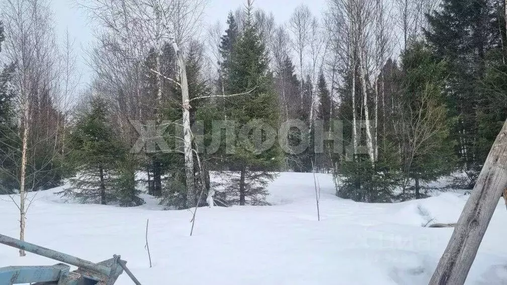 Участок в Томская область, Томский район, с. Корнилово, Красная горка ... - Фото 2