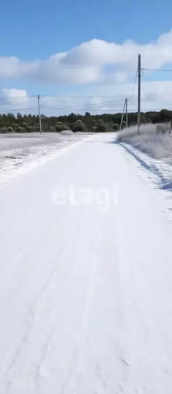 Участок в Новгородская область, Чудовский район, Трегубовское с/пос, ... - Фото 1