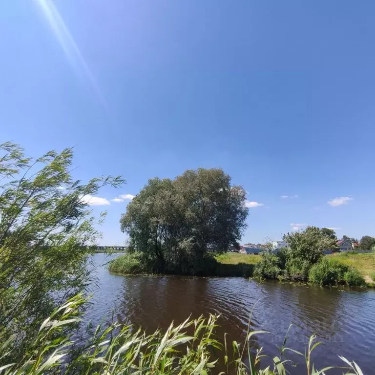 Участок в Калининградская область, Гурьевский муниципальный округ, ... - Фото 2