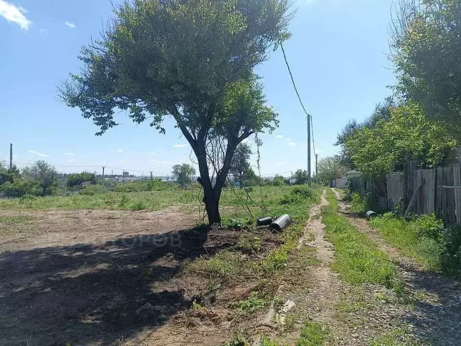 Участок в Волгоградская область, Волгоград Мичуринец СНТ, ул. Дачная ... - Фото 1