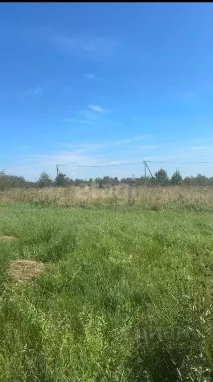 Участок в Калининградская область, Гурьевский муниципальный округ, ... - Фото 2