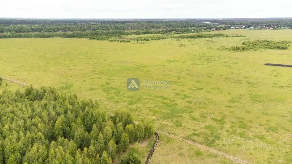 Участок в Тюменская область, Тюменский район, д. Речкина  (10.08 сот.) - Фото 0