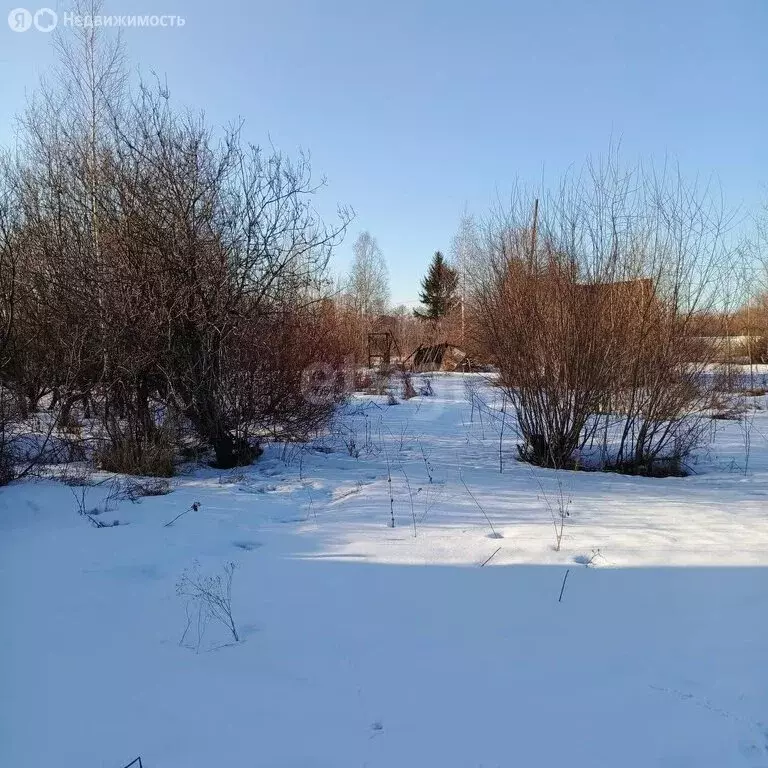 Участок в Нижний Тагил, КС УВЗ № 3, 12-я линия (6.03 м) - Фото 2