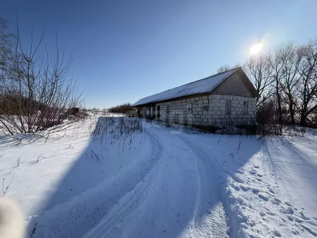 Участок в Белгородская область, Корочанский район, Погореловское ... - Фото 1
