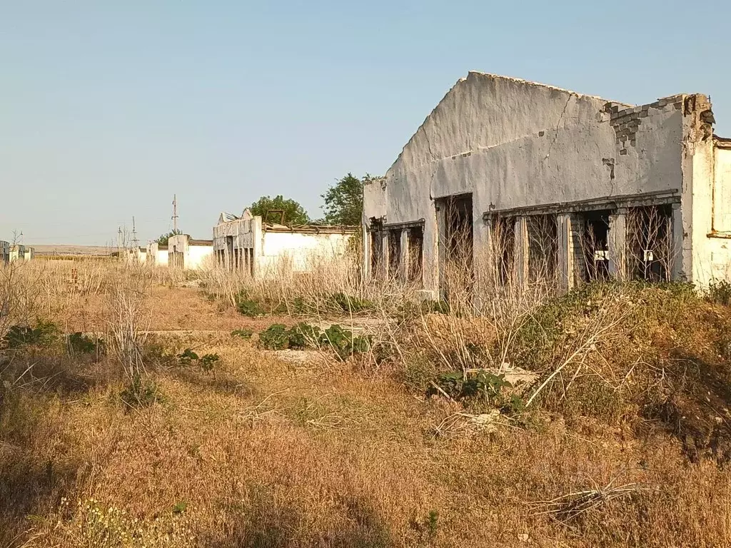 Помещение свободного назначения в Волгоградская область, Светлоярский ... - Фото 1