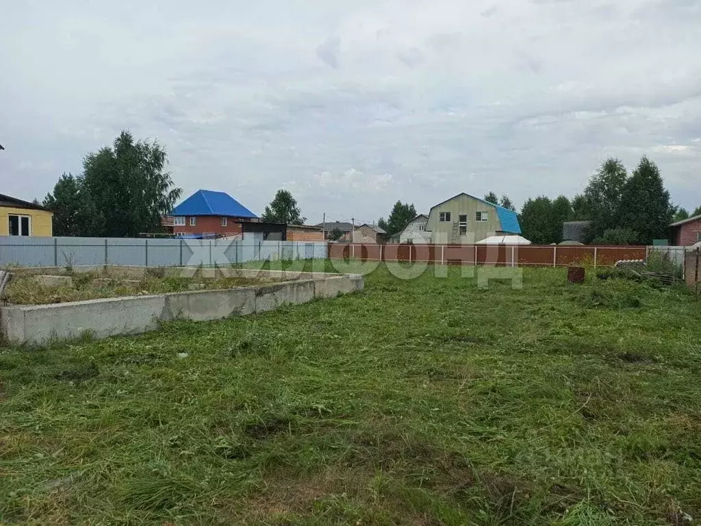 Участок в Новосибирская область, Новосибирский район, с. Верх-Тула ул. ... - Фото 0