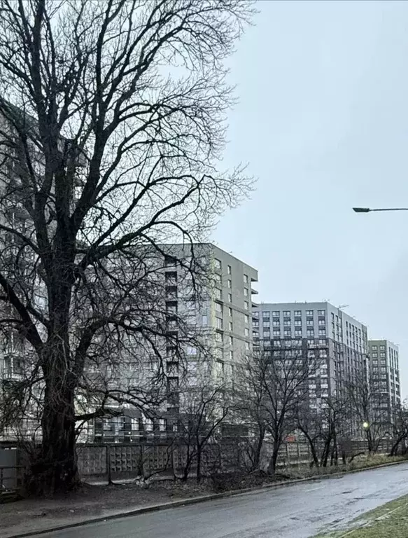 2-к кв. Санкт-Петербург Аэронавт жилой комплекс, Куинджи жилой ... - Фото 1