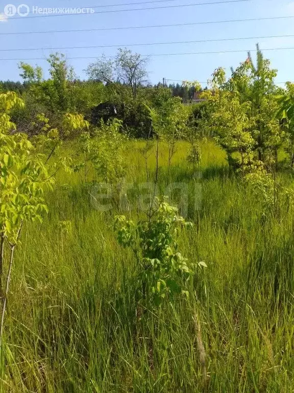 Участок в село Георгиевка, Кооперативная улица (11.47 м) - Фото 1
