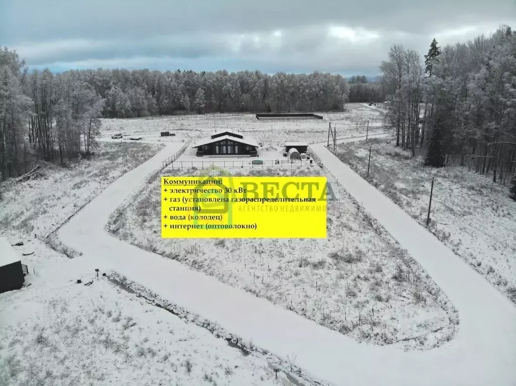 Участок в Ленинградская область, Приозерский район, Красноозерное ... - Фото 1