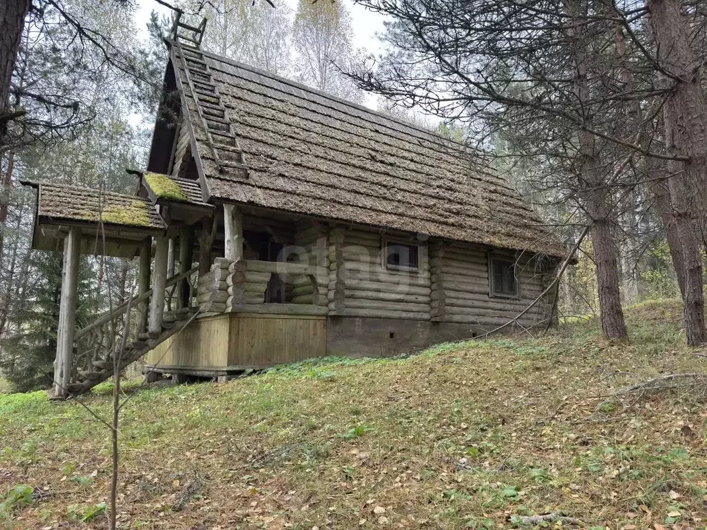 Дом в Псковская область, Себежское с/пос, д. Угаринка  (87 м) - Фото 2