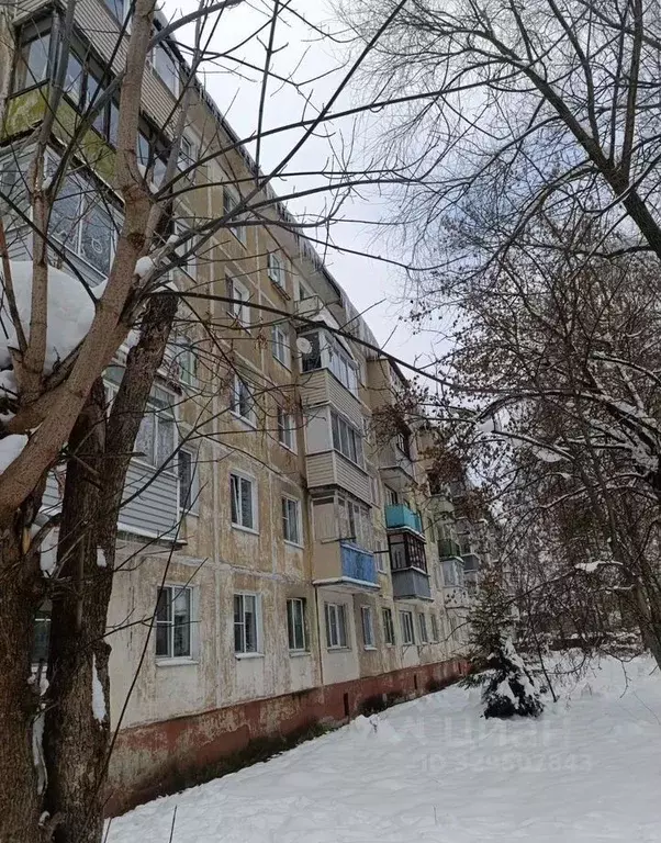 1-к кв. Московская область, Ногинск Богородский городской округ, пер. ... - Фото 2