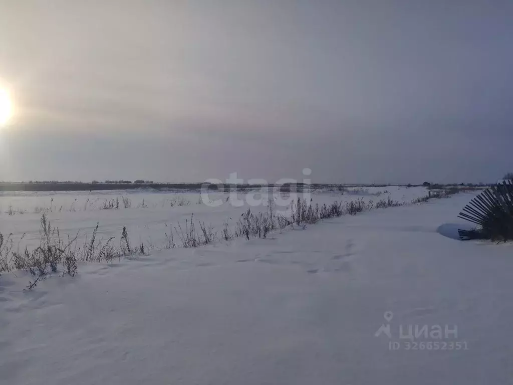 Участок в Курганская область, Курган Озеро Бездонное СНТ, ул. Луговая ... - Фото 1