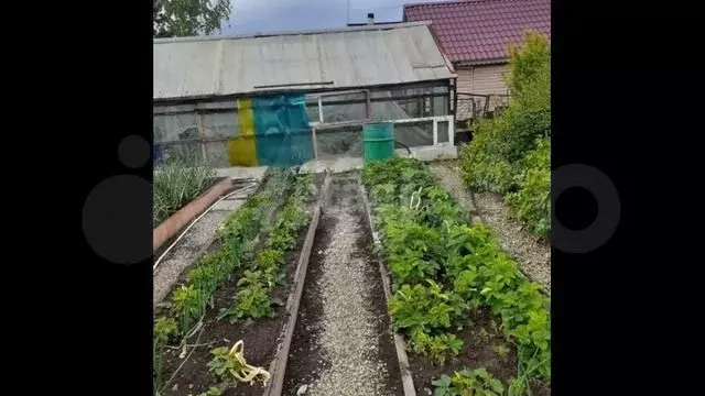 Участок 4,3 сот. (СНТ, ДНП) - Фото 1