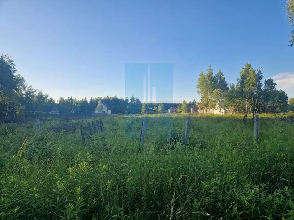 Участок в Московская область, Чехов муниципальный округ, д. Манушкино ... - Фото 2