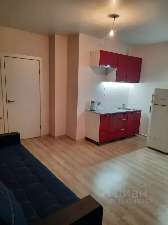 Студия Новосибирская область, Новосибирск ул. Петухова, 162 (25.4 м) - Фото 1
