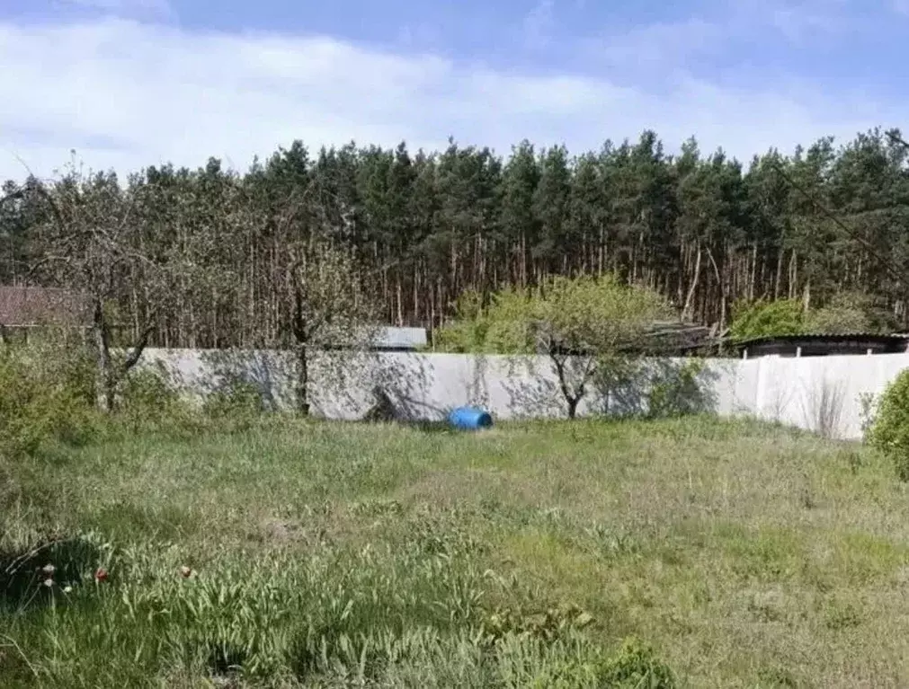 Участок в Воронежская область, Воронеж Колос-1 СНТ, ул. Центральная, ... - Фото 1