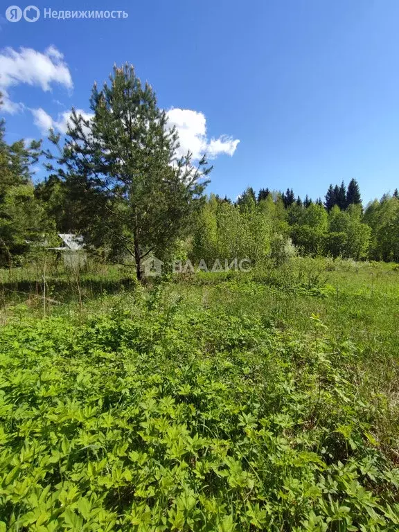Участок в Пермь, СНТ № 65-А Банная Гора, 65 (5.24 м) - Фото 1