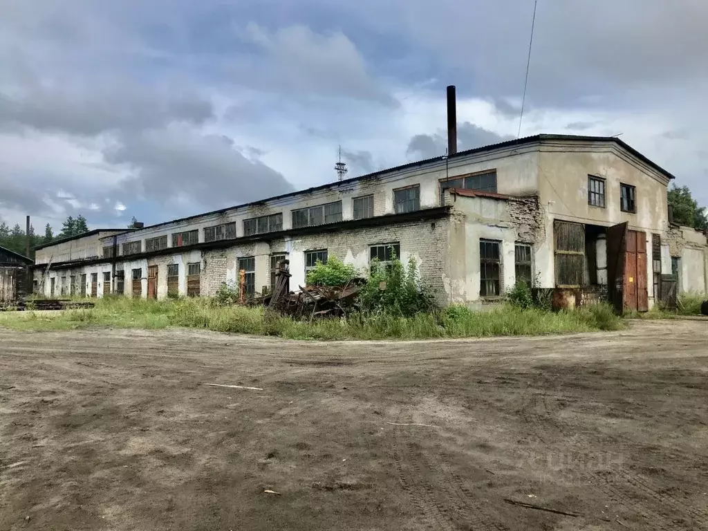 Склад в Костромская область, Нея ул. Любимова, 65 (100 м) - Фото 2
