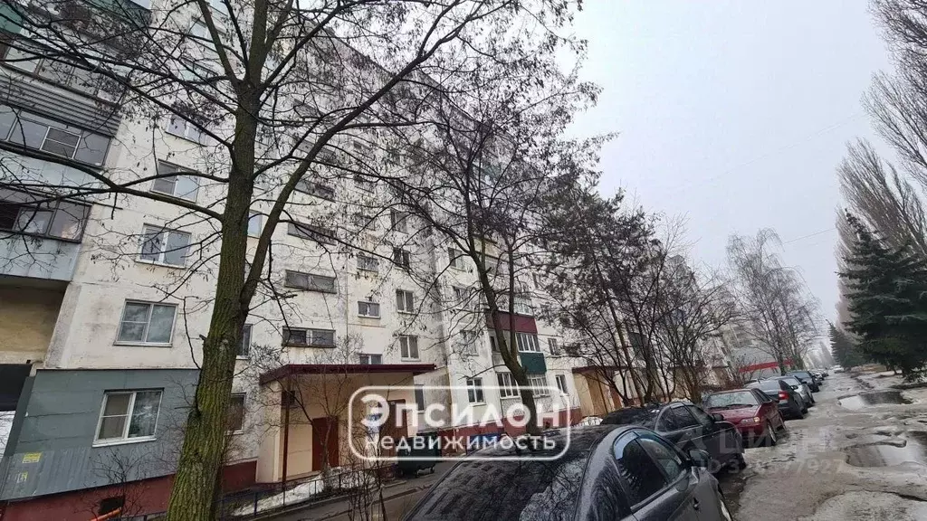 3-к кв. Курская область, Курск просп. Дружбы, 10 (58.6 м) - Фото 2