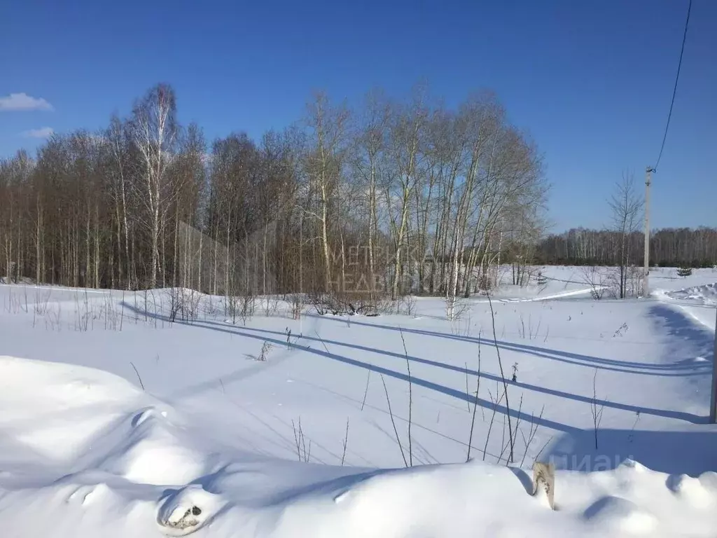 Участок в Тюменская область, Тюменский район, с. Кулаково тракт ... - Фото 1