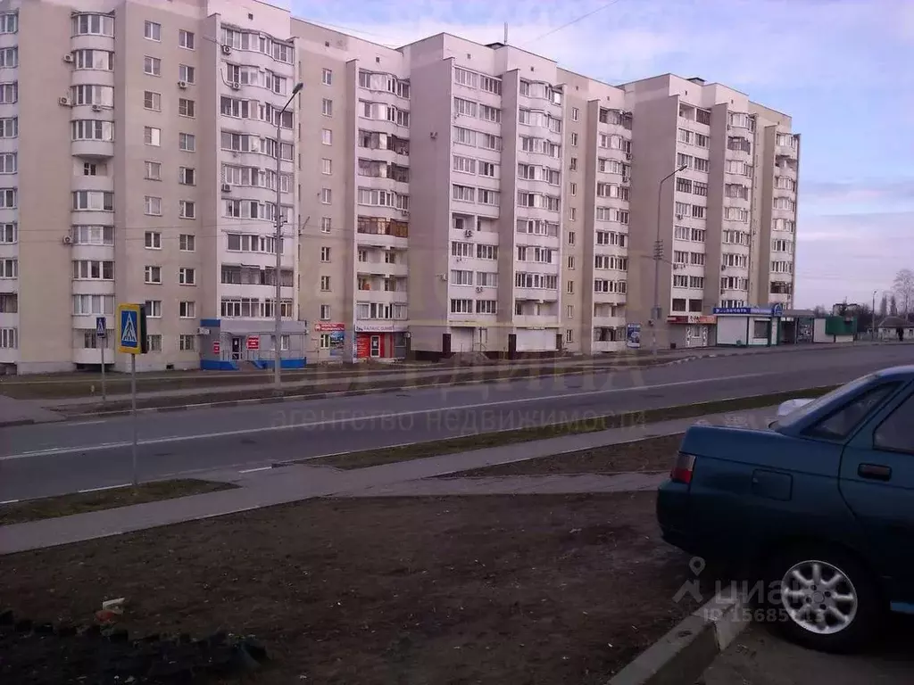 Торговая площадь в Белгородская область, Губкин Севастопольская ул., ... - Фото 0