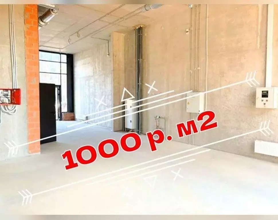 Помещение свободного назначения в Ленинградская область, Всеволожский ... - Фото 1